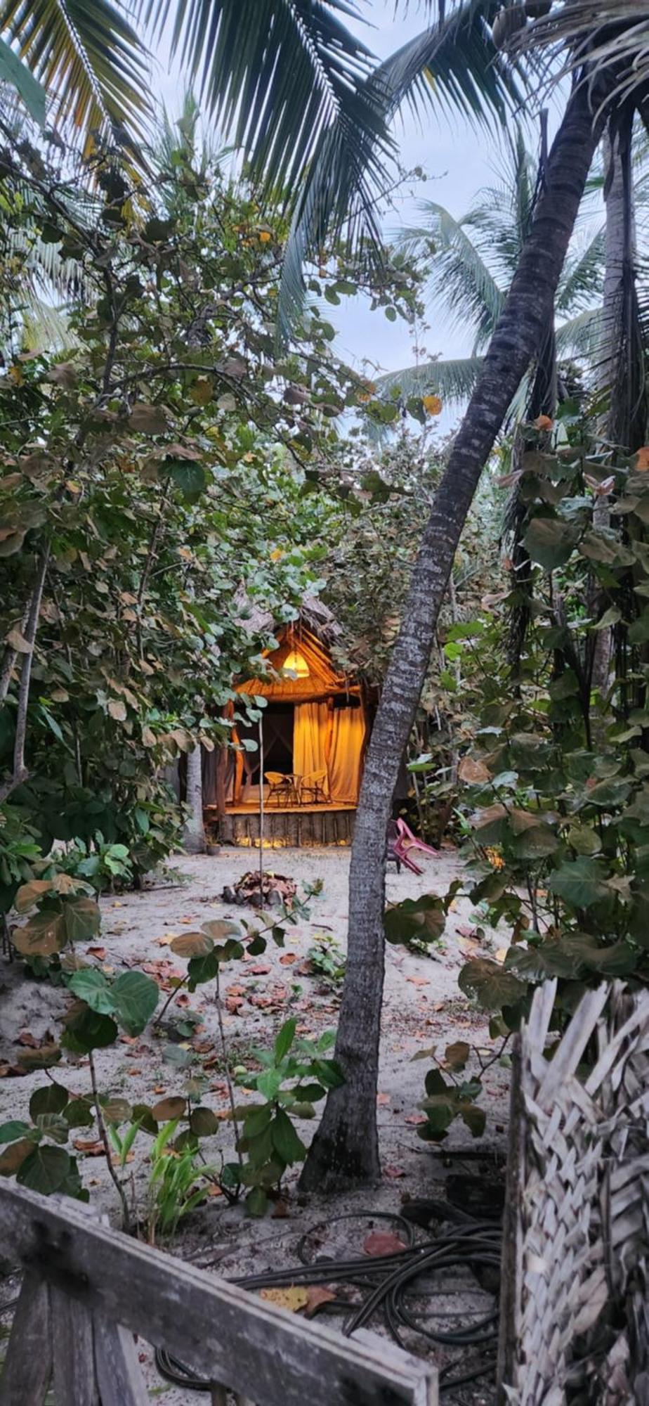 Nueva Onda Bed and Breakfast Palomino Eksteriør billede